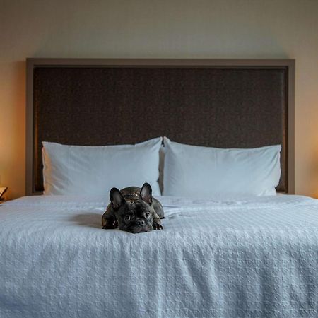 Homewood Suites By Hilton Chicago West Loop Fulton Mkt Area Exteriör bild