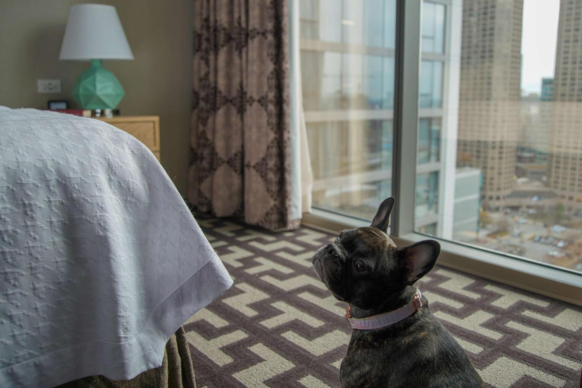 Homewood Suites By Hilton Chicago West Loop Fulton Mkt Area Exteriör bild