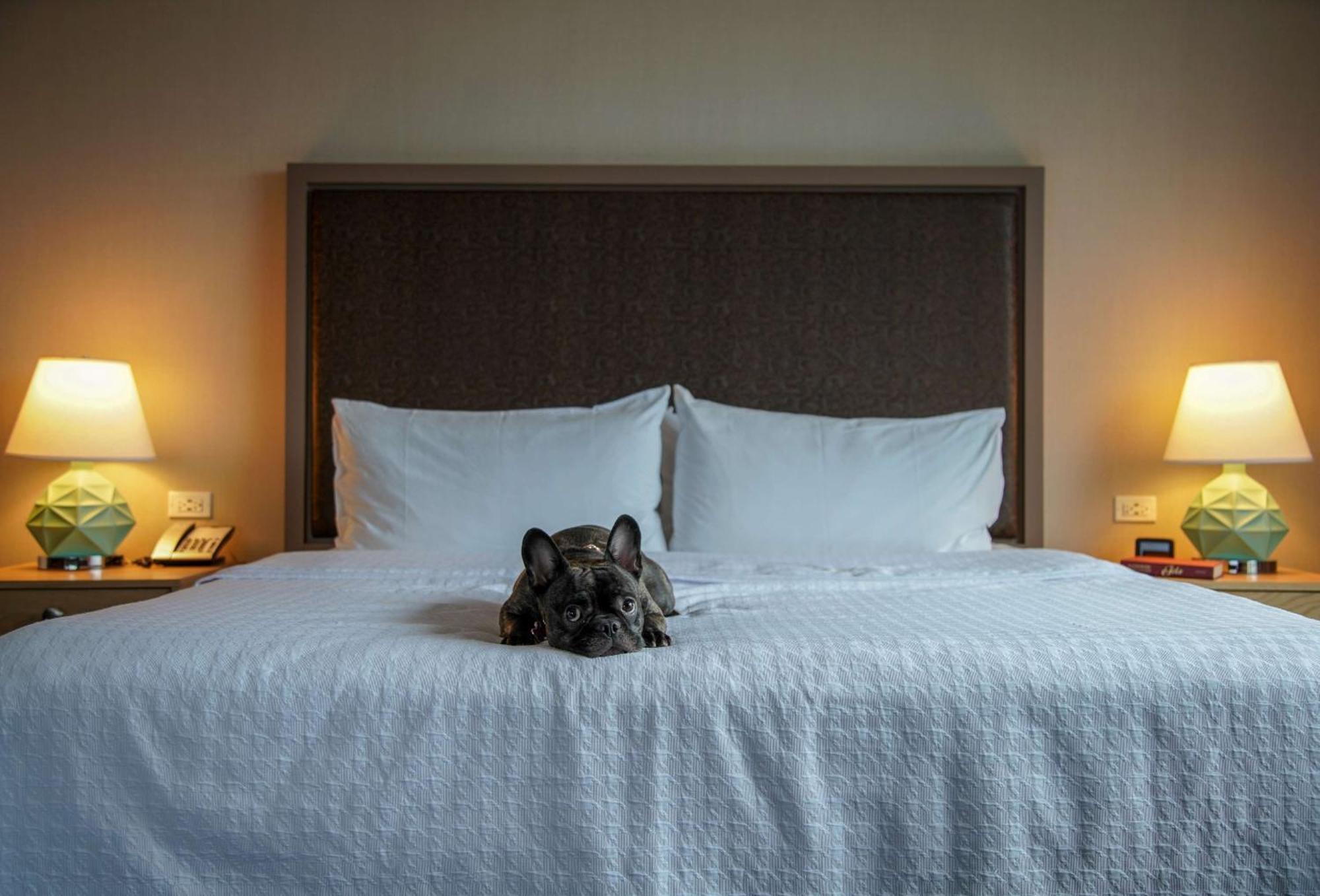 Homewood Suites By Hilton Chicago West Loop Fulton Mkt Area Exteriör bild
