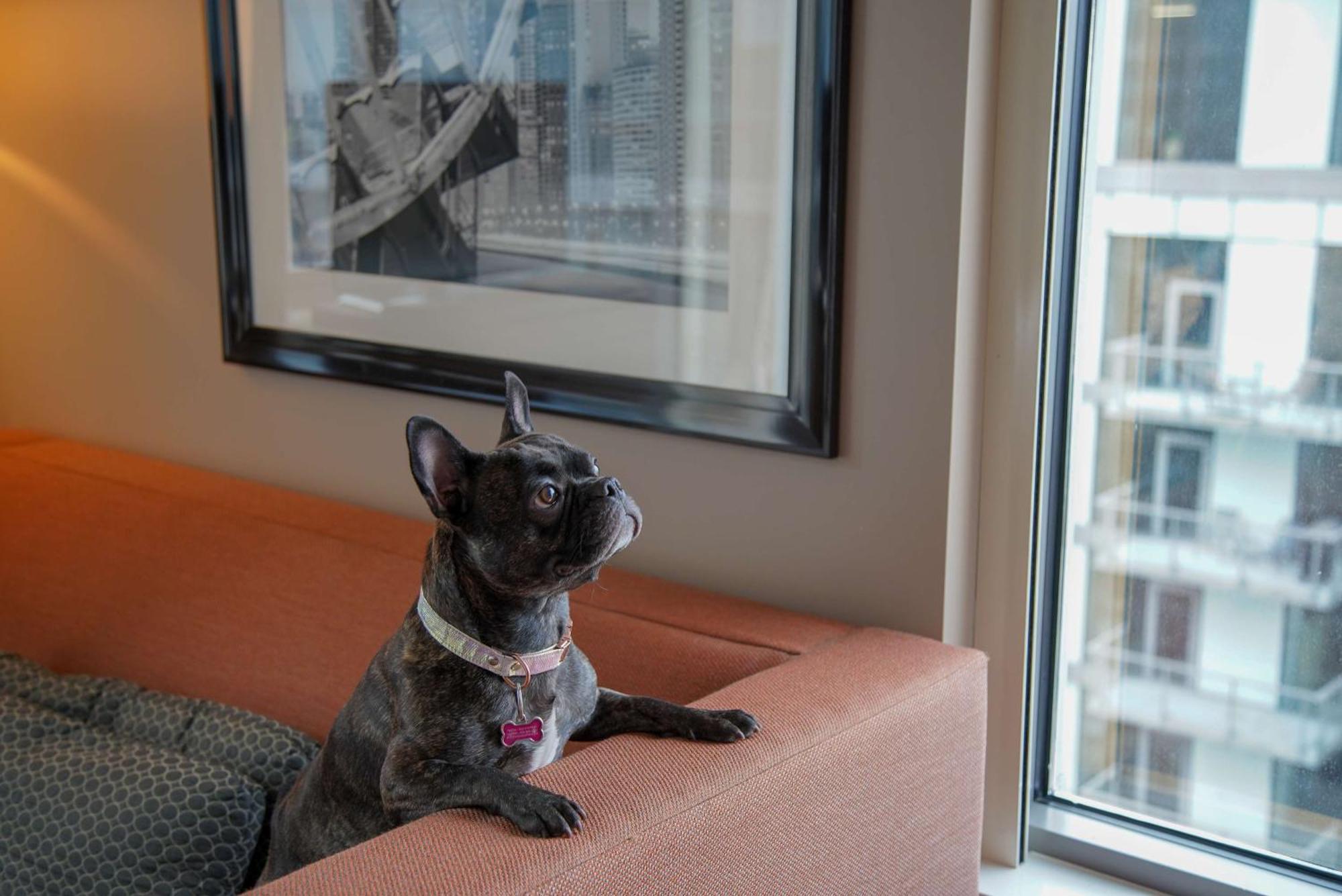Homewood Suites By Hilton Chicago West Loop Fulton Mkt Area Exteriör bild